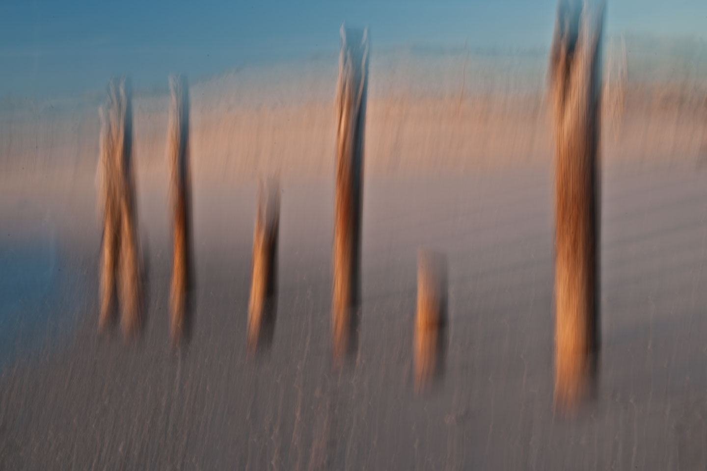 3rd PrizeAssigned Pictorial In Class 3 By Anne Rhoads For Old Pilings At Cape May Beach FEB-2024.jpg